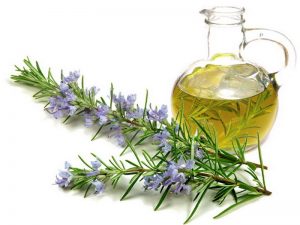 Rosemary-Oil